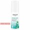Weleda Fig Prickly Pear Moisturizing Face Mist, 100 ml — Made in Switzerland — Free Delivery