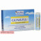 Guna-Flu granules 1 g x 6 pcs — Made in Italy — Free Delivery