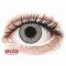 TopVue Daily Color - Grey - one-day, zero lenses (10 lenses) DIA 14.30, BC 8.60, Power 0 — Made in USA — Free Delivery