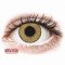 TopVue Daily Color - Pure Hazel - one-day, corrective (10 lenses) DIA 14.30, BC 8.60 — Made in USA — Free Delivery