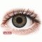 FreshLook One Day Color Blue - zero lenses (10 lenses) DIA 13.80, BC 8.60, Power 0 — Made in USA — Free Delivery
