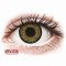 FreshLook One Day Color Pure Hazel - corrective (10 lenses) DIA 13.80, BC 8.60 — Made in USA — Free Delivery