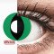 Crazy Lens - Cat Eye Green - zero lenses (2 lenses) DIA 14.20, BC 8.60, Power 0 — Made in Australia — Free Delivery