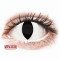 Crazy Lens - Cat Eye White - zero lenses (2 lenses) DIA 14.20, BC 8.60, Power 0 — Made in Australia — Free Delivery