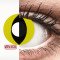 Crazy Lens - Cat Eye Yellow - zero lenses (2 lenses) DIA 14.20, BC 8.60, Power 0 — Made in Australia — Free Delivery