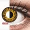 Crazy Lens - Cheetah - zero lenses (2 lenses) DIA 14.20, BC 8.60, Power 0 — Made in Australia — Free Delivery