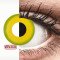 Crazy Lens - Forest Children - one-day corrective (2 lenses) DIA 14.20, BC 8.60 — Made in Australia — Free Delivery