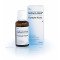 GALIUM-HEEL ORAL DROPS 30ML - MADE IN GERMANY- FREE SHIPPING GALIUM-HEEL ORAL DROPS 30ML - MADE IN GERMANY- FREE SHIPPING