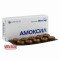 Amoxil 500mg 20 tablets — Made in Ukraine — Free Delivery