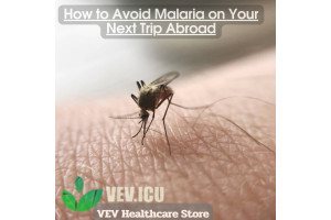 How to Avoid Malaria on Your Next Trip Abroad