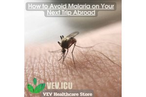 How to Avoid Malaria on Your Next Trip Abroad