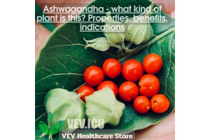 Ashwagandha (Withania somnifera) - what kind of plant is this? Properties, benefits, indications