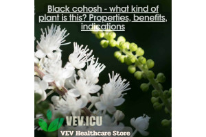 Black cohosh (Actaea racemosa)- what kind of plant is this? Properties, benefits, indications