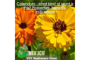 Calendula  - what kind of plant is this? Properties, benefits, indications