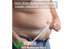 How does abdominal obesity cause metabolic syndrome?