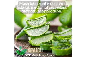 Medicinal plant Aloe vera: habitat, medicinal properties, methods of application.