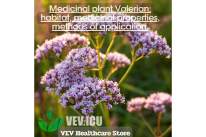Medicinal plant Valerian: habitat, medicinal properties, methods of application.