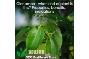 Cinnamon (Cinnamomum verum) - what kind of plant is this? Properties, benefits, indications
