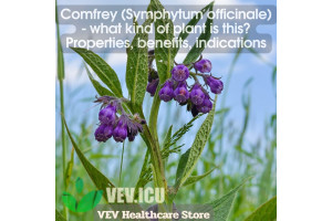 Comfrey (Symphytum officinale) - what kind of plant is this? Properties, benefits, indications