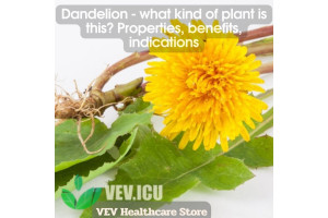 Dandelion (Taraxacum officinale) - what kind of plant is this? Properties, benefits, indications