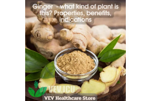 Ginger (Zingiber officinale) - what kind of plant is this? Properties, benefits, indications