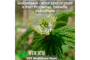 Goldenseal - what kind of plant is this? Properties, benefits, indications