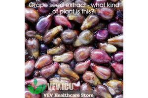 Grape seed extract (Vitis vinifera) - what kind of plant is this?