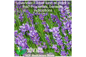 Lavender (Lavandula angustifolia): Unveiling the Extraordinary Health Properties and Benefits