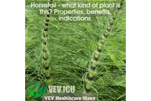 Horsetail (Equisetum arvense) - what kind of plant is this? Properties, benefits, indications
