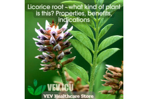 Licorice root - what kind of plant is this? Properties, benefits, indications