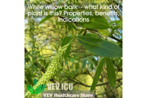 White willow bark (Salix alba) - what kind of plant is this? Properties, benefits, indications