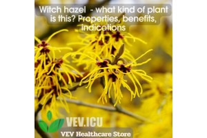 Witch hazel (Hamamelis virginiana) - what kind of plant is this? Properties, benefits, indications