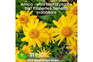 Arnica - what kind of plant is this? Properties, benefits, indications