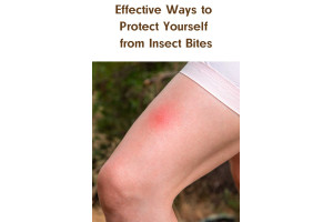 Effective Ways to Protect Yourself from Insect Bites