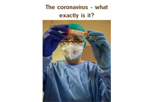The coronavirus - what exactly is it?