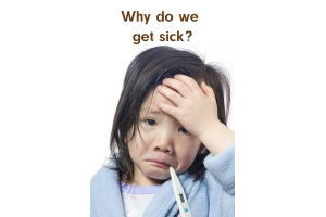 Bacterial lysates, or immunization vaccines for children