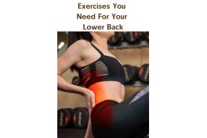 Exercises You Need For Your Lower Back